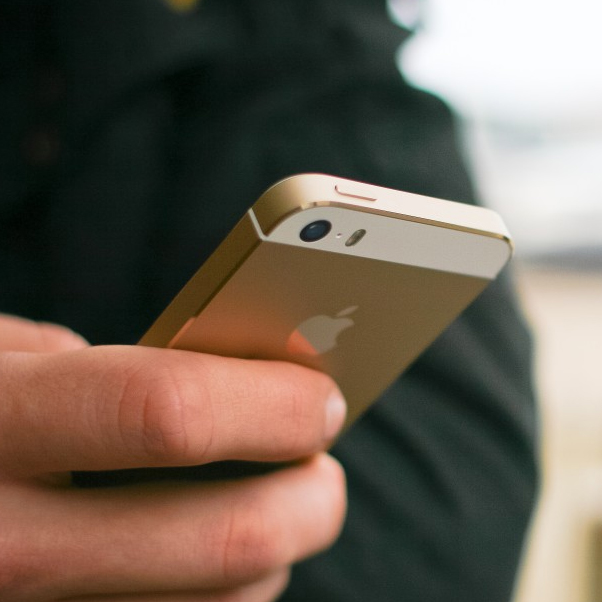 Lacinia hendrerit purus molestie Suspendisse eget nibh Vestibulum