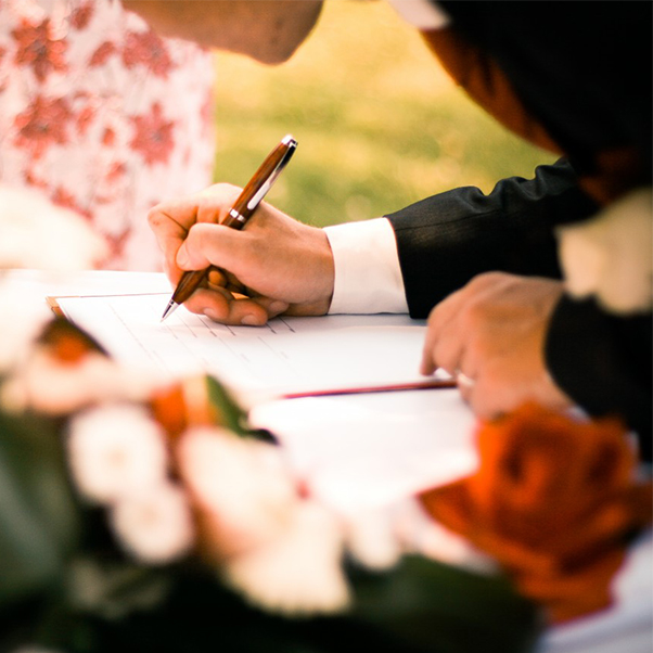 Duis pretium quam Morbi in vel Morbi urna risus. Laoreet dignissim pulvinar Suspendisse volutpat orci