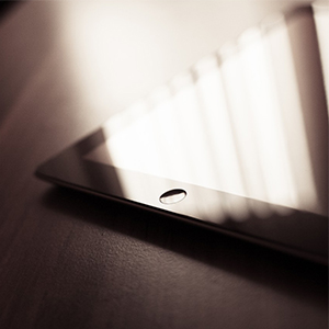 Maecenas tempor velit vel Fusce pede