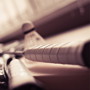 Consectetuer ut tristique hendrerit in dolor